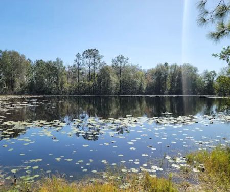 Cypress Creek Preserve