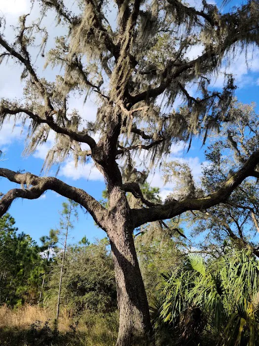 Cypress Creek Preserve Picture 8