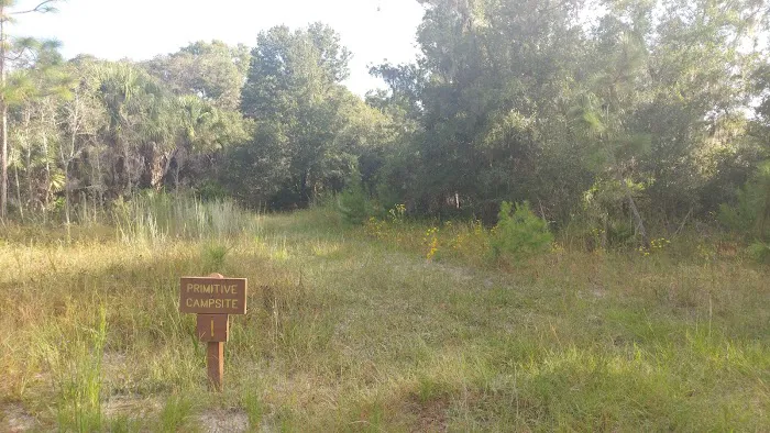 Back Country Campsite #1 Picture 2