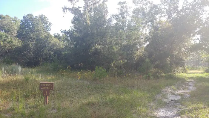 Back Country Campsite #1 Picture 1