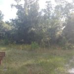 Back Country Campsite #1