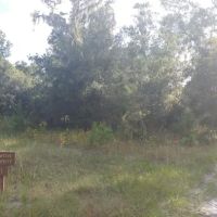 Back Country Campsite #1 ico