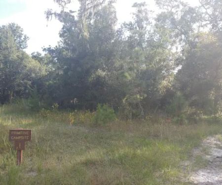 Back Country Campsite #1