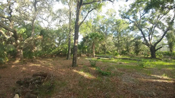 Back Country Campsite #1 Picture 4