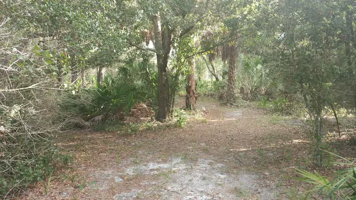 Back Country Campsite #1 Picture 3