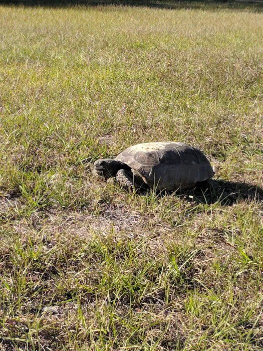 Campground Starkey Picture 7