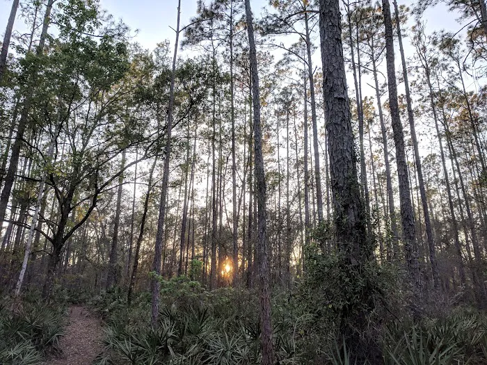 Campground Starkey Picture 6