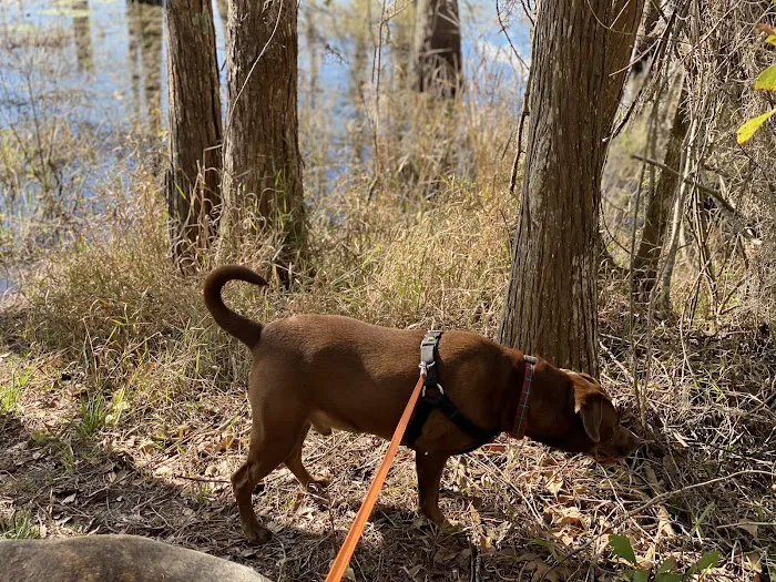 Campground Starkey Picture 8