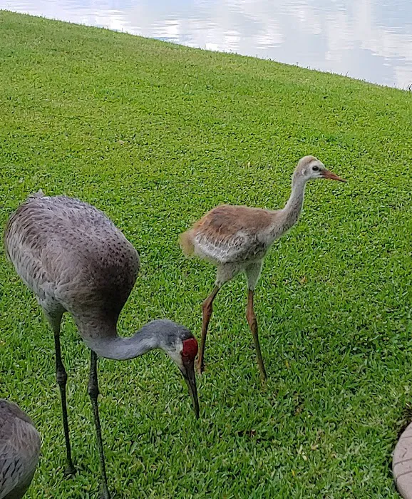 Campground Starkey Picture 9