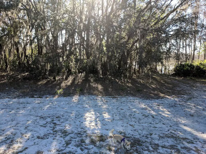 Campground Starkey Picture 5