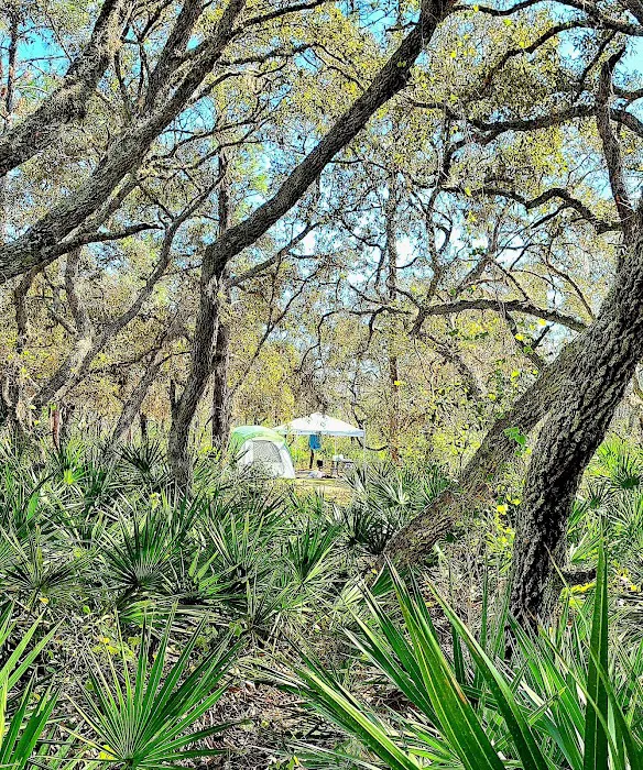 Campground Starkey Picture 1