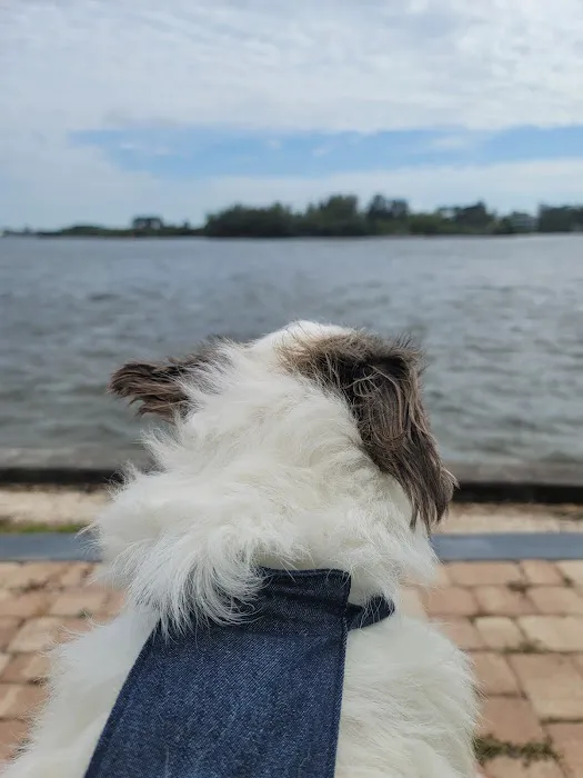 Hickory Point Picture 5