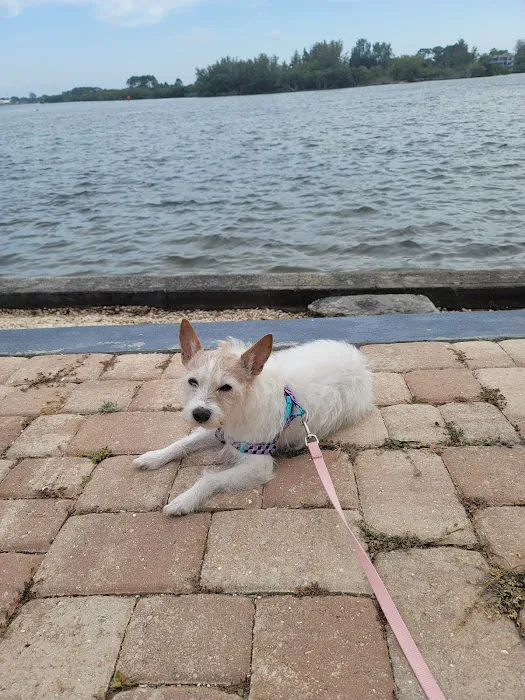 Hickory Point Picture 6