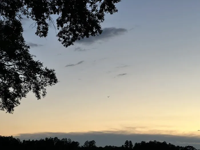 Silver Dollar Golf, Trap Club & RV Resort Picture 1