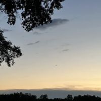 Silver Dollar Golf, Trap Club & RV Resort ico