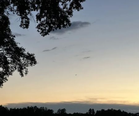 Silver Dollar Golf, Trap Club & RV Resort