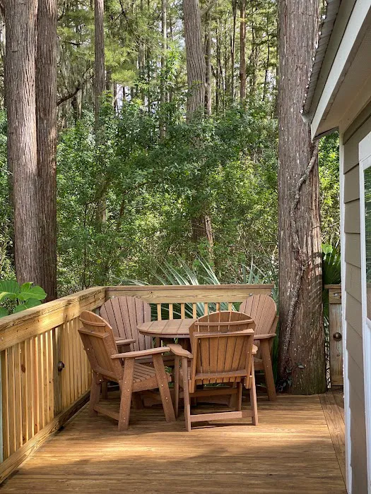 Clearwater / Lake Tarpon KOA Holiday Picture 9