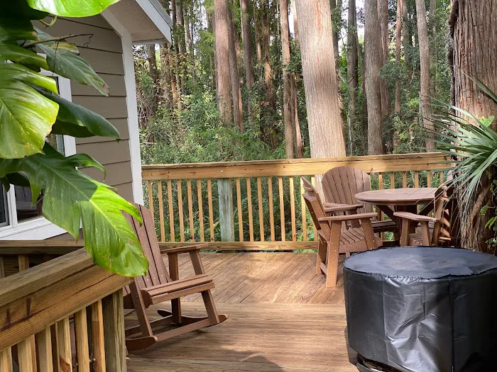 Clearwater / Lake Tarpon KOA Holiday Picture 6