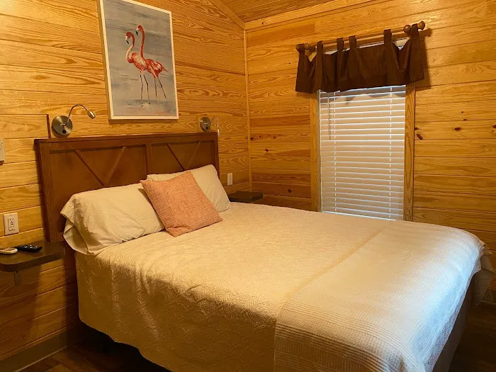 Clearwater / Lake Tarpon KOA Holiday Picture 5