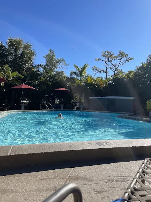 Clearwater / Lake Tarpon KOA Holiday Picture 3