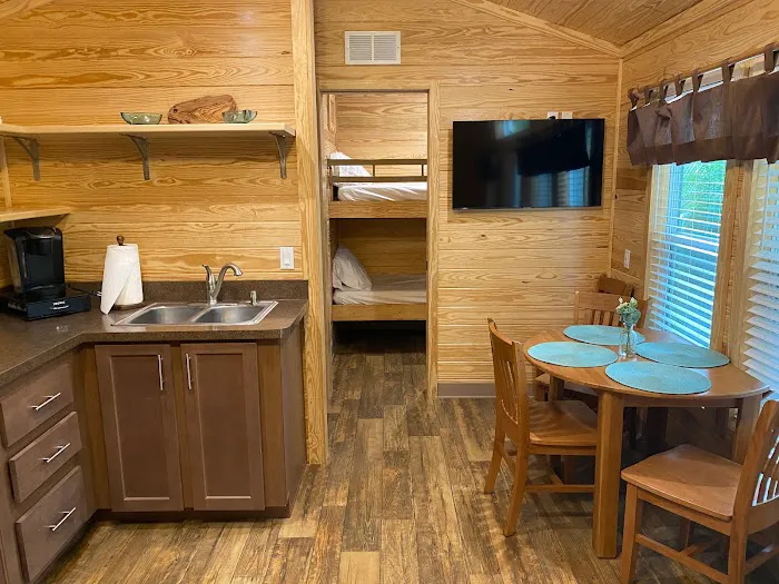 Clearwater / Lake Tarpon KOA Holiday Picture 10