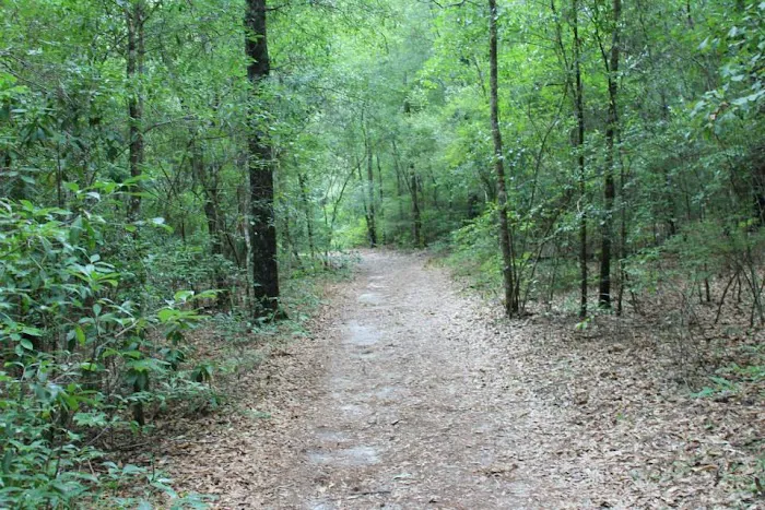 Camp Okaloosa Picture 1