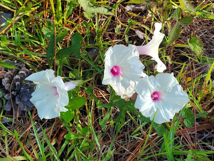 Karick Lake South Campground Picture 7