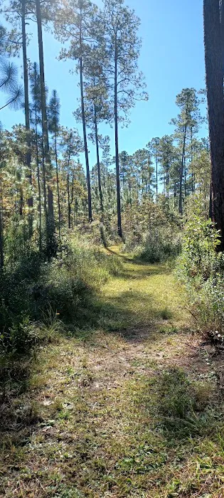 Karick Lake South Campground Picture 8