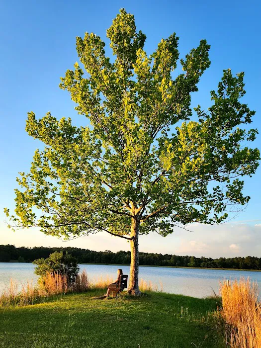 Hurricane Lake - Primative Camping Picture 7