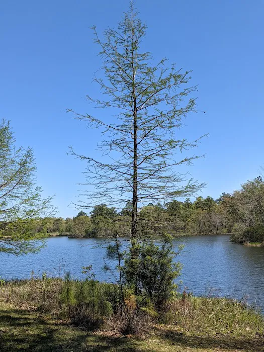 Hurricane Lake - Primative Camping Picture 9