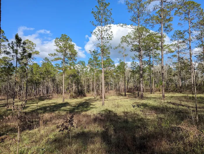 North Hurricane Lake Recreation Area Picture 9