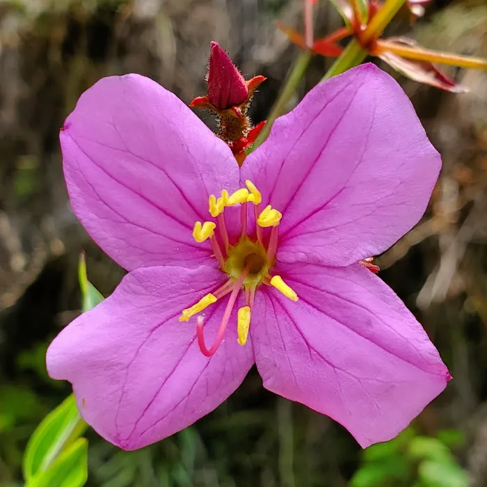 North Hurricane Lake Recreation Area Picture 10