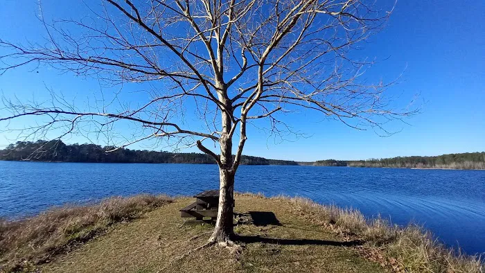 North Hurricane Lake Recreation Area Picture 3