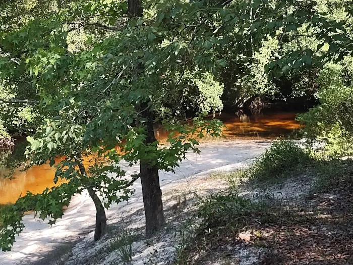 Blackwater Getaway Campground Picture 6