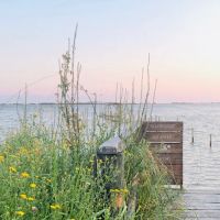 The Hideaway Retreat ico