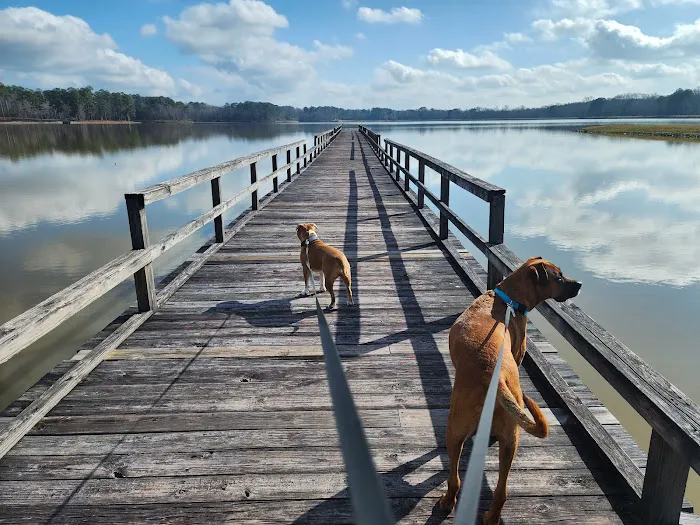 Lake Tom Bailey Picture 1