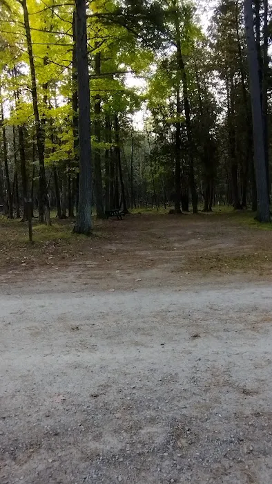 Veterans Park Campground Picture 1