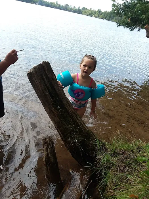 Bass Lake State Forest Campground Picture 1