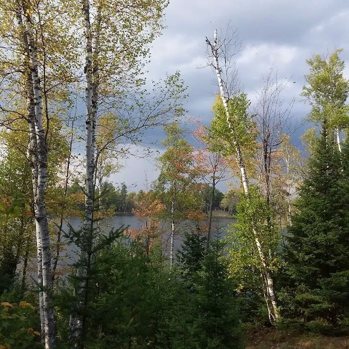 Bass Lake State Forest Campground Picture 10