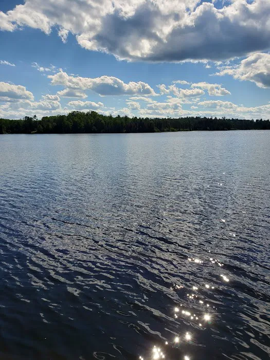 Genes Pond State Forest Campground Picture 8