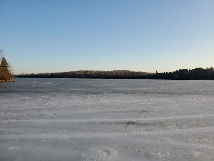 Genes Pond State Forest Campground Picture 5