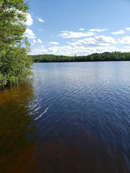 Genes Pond State Forest Campground Picture 7