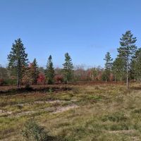 Chocolay River RV & Campgrounds ico