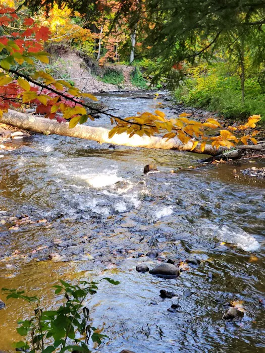 Rippling River Resort Picture 3