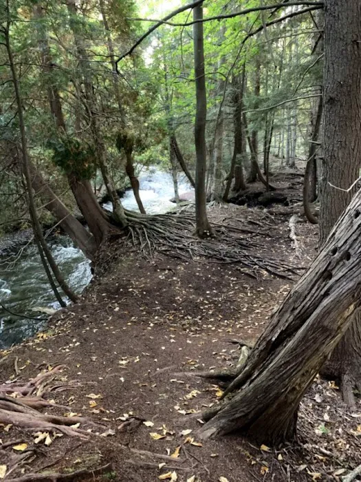 Rippling River Resort Picture 7