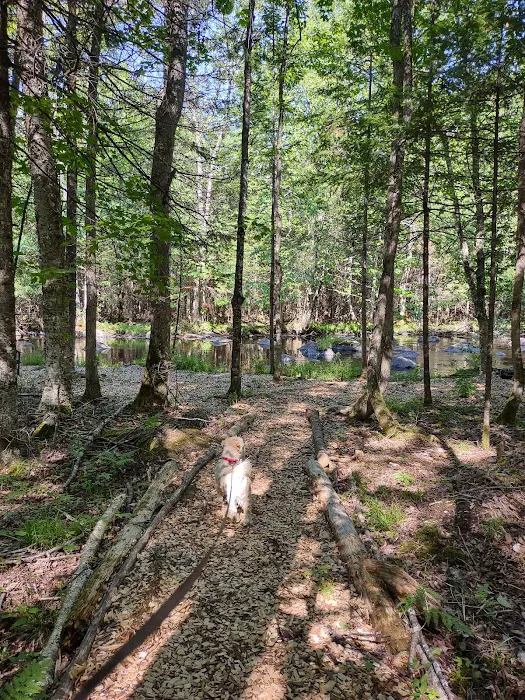 Trailside Hideaway LLC Picture 7