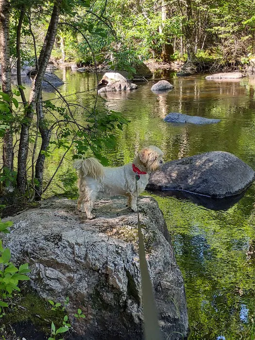 Trailside Hideaway LLC Picture 8