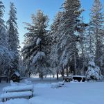 Camp Pine Manor