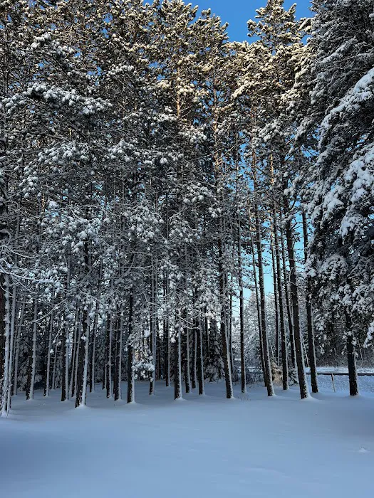 Camp Pine Manor Picture 4