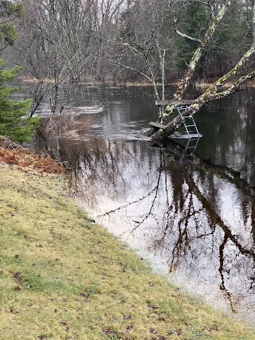 Camp Pine Manor Picture 10